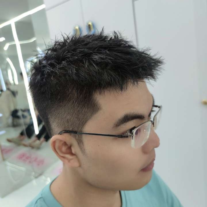 老迟到用白猫的照片