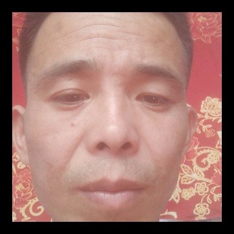 小海豚相许潇洒的照片