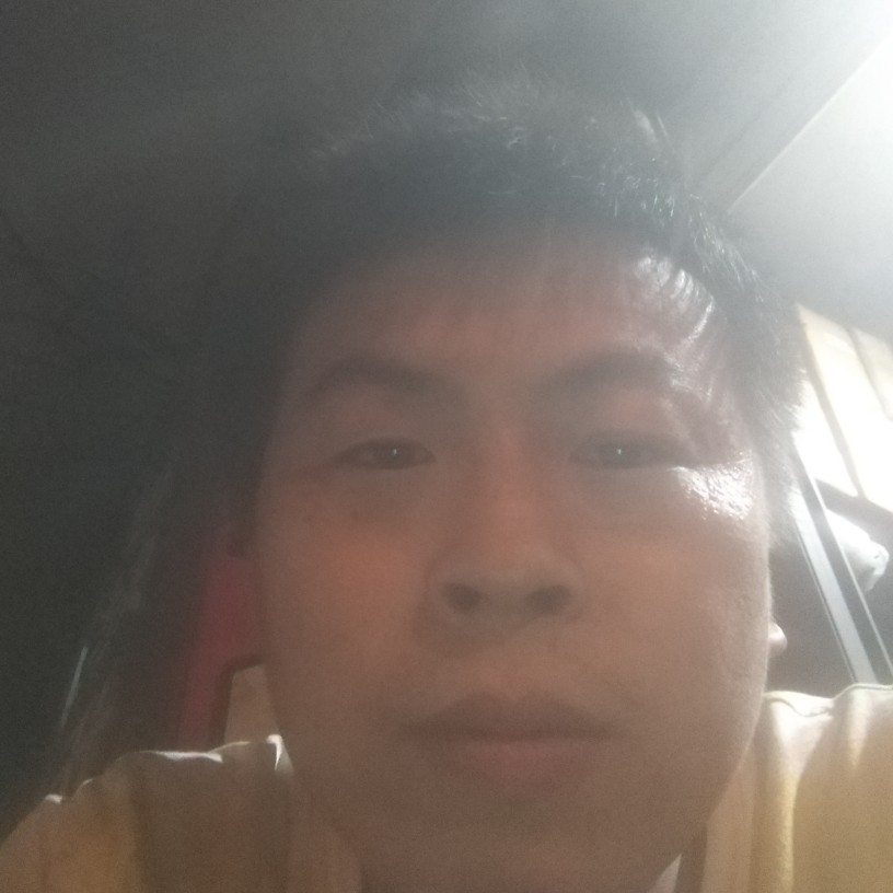 海燕苦恋痴情的照片