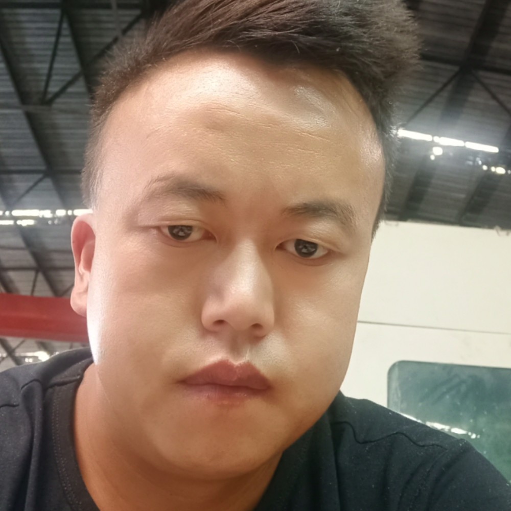 飞鸟爱上鱼的照片