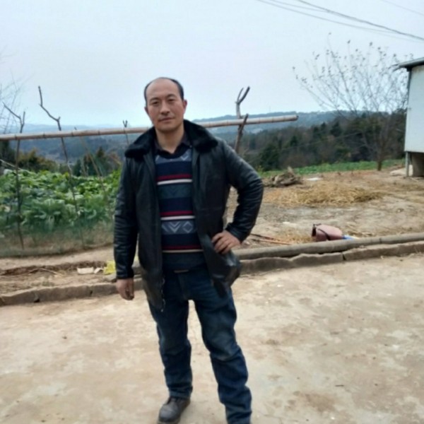 本人是单身，的照片