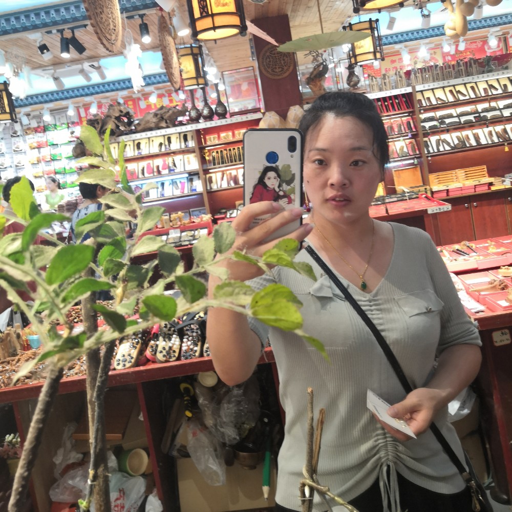 宁歌的照片