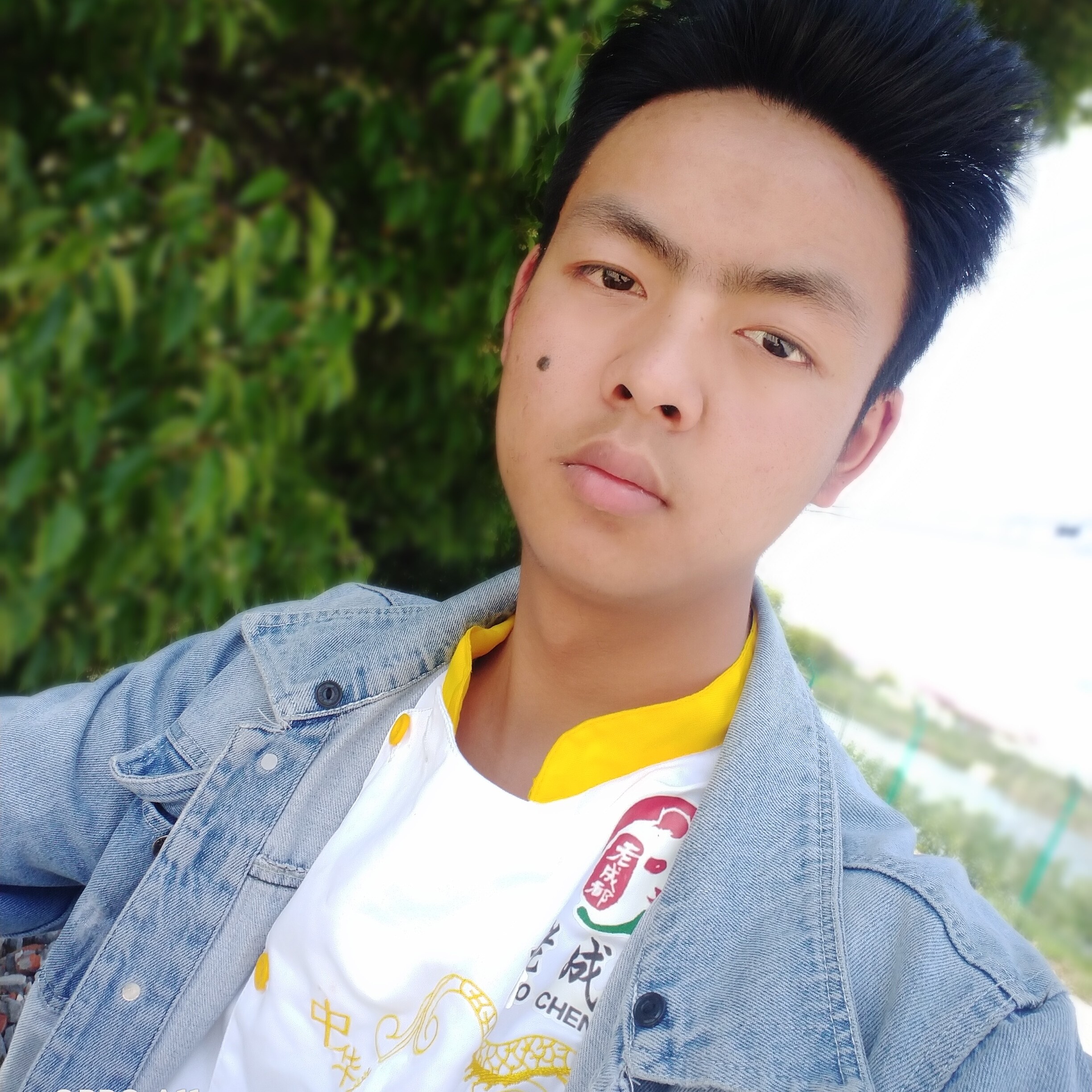 春天和俊逸的照片