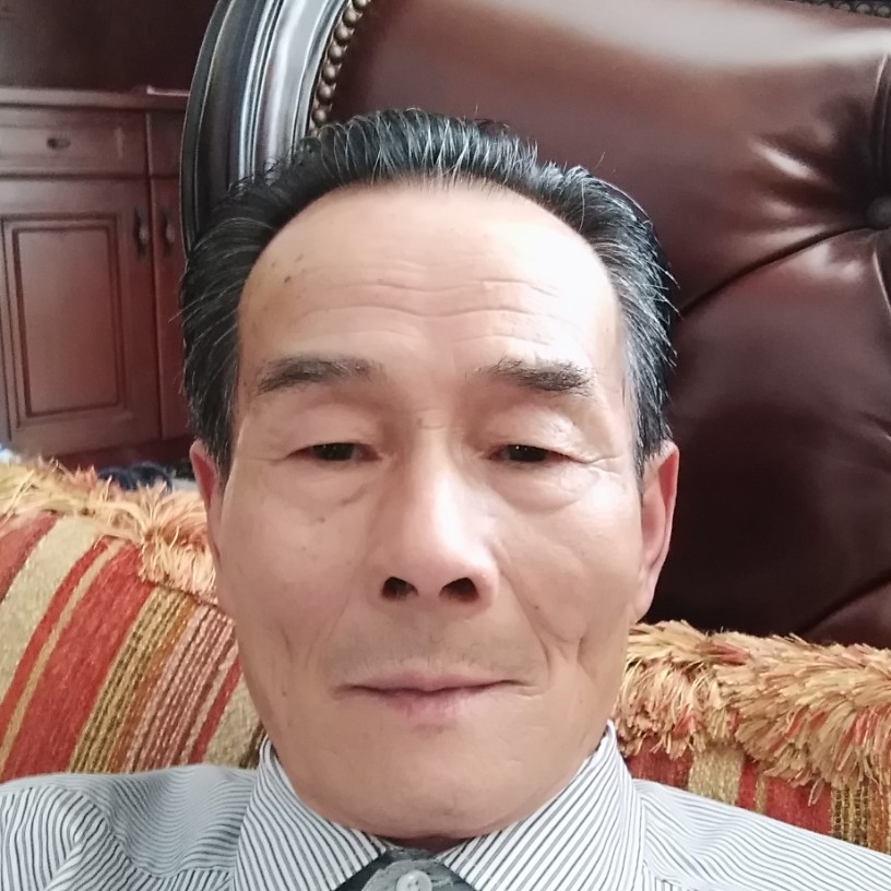 乌冬面整齐的照片