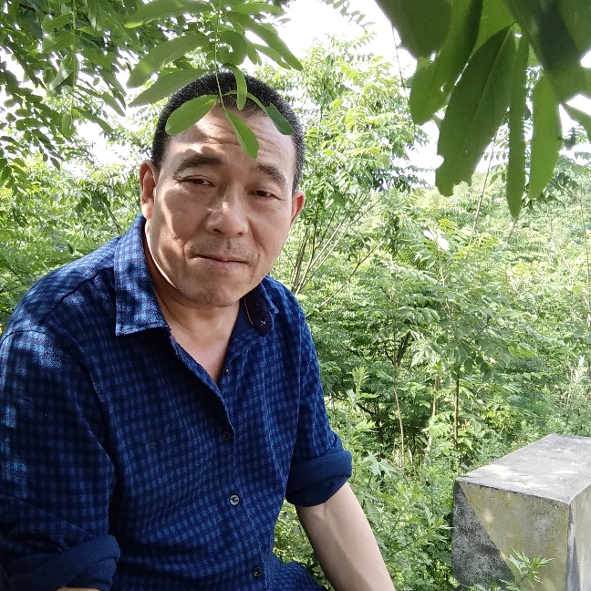 林宁的照片