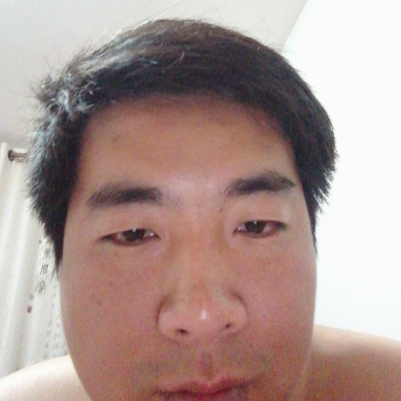 坚定金毛的照片