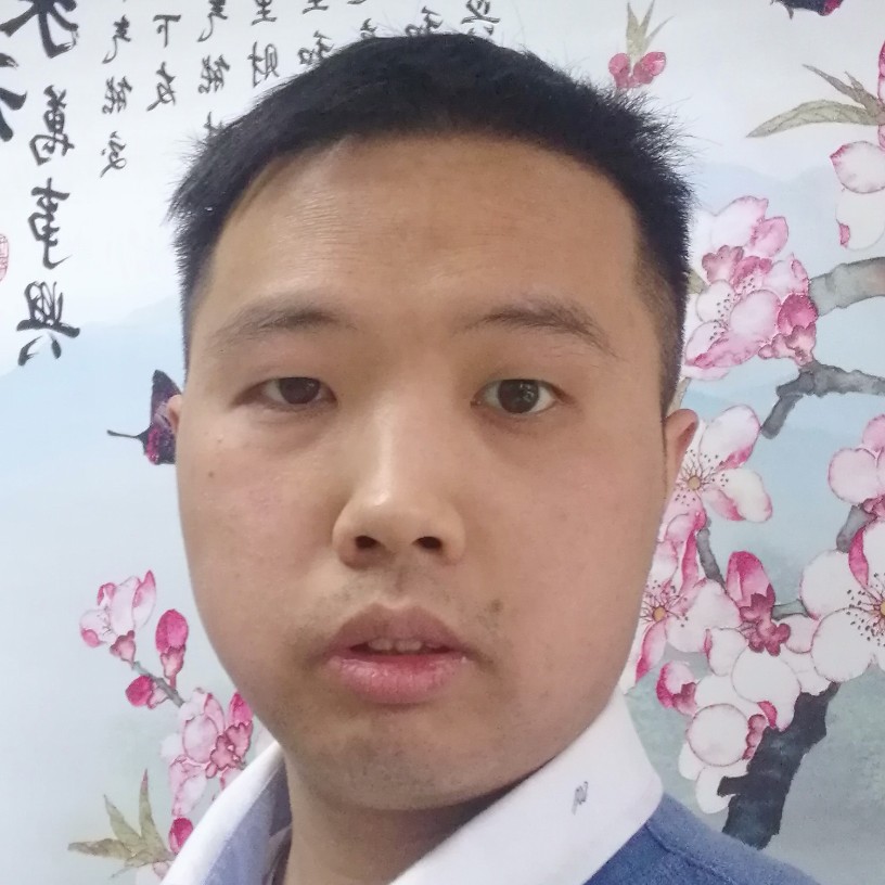 L421的照片