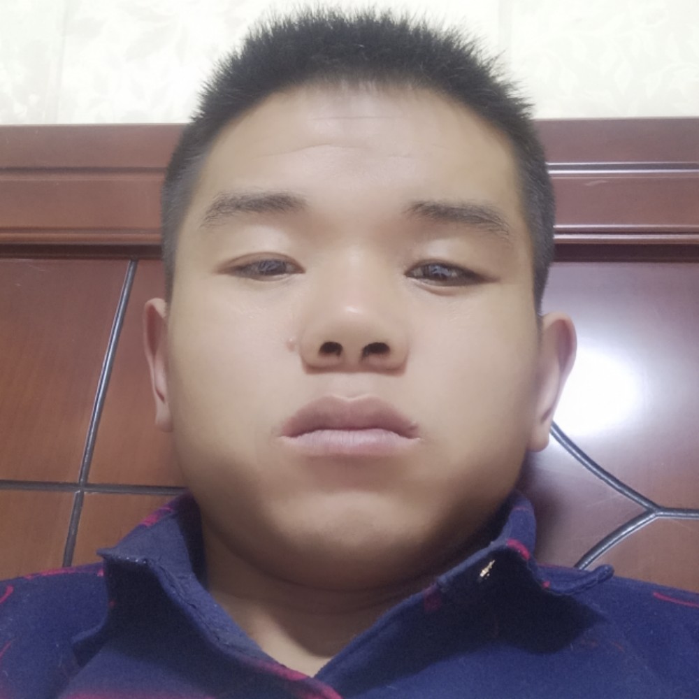冷静晨阳的照片