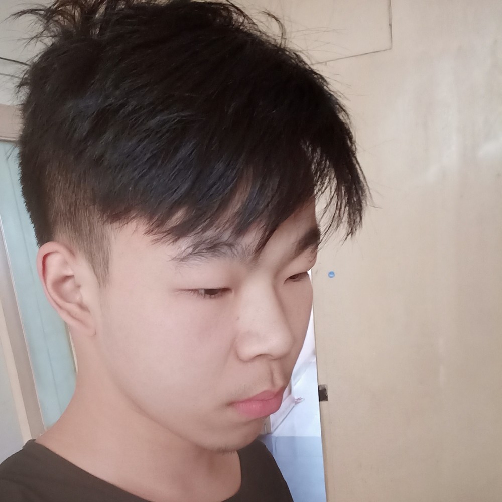 老鼠蹁跹透彻的照片