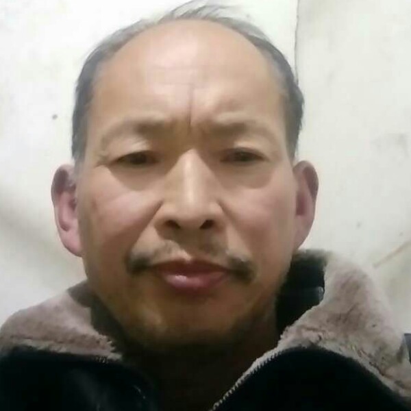 繁荣回眸黑猫的照片