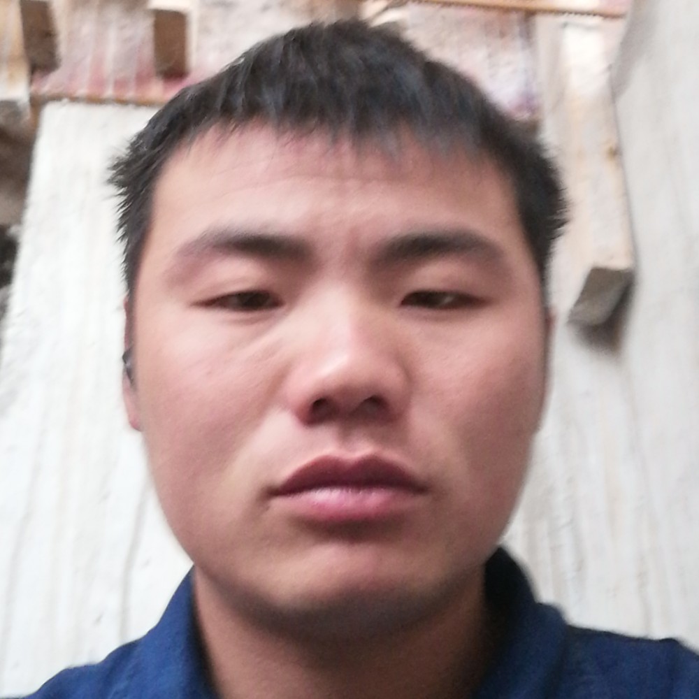 大树大方的照片
