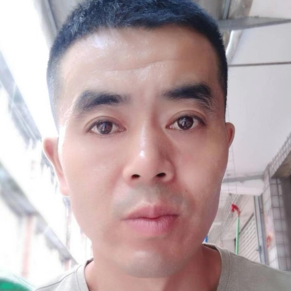 犀牛迎自由的照片