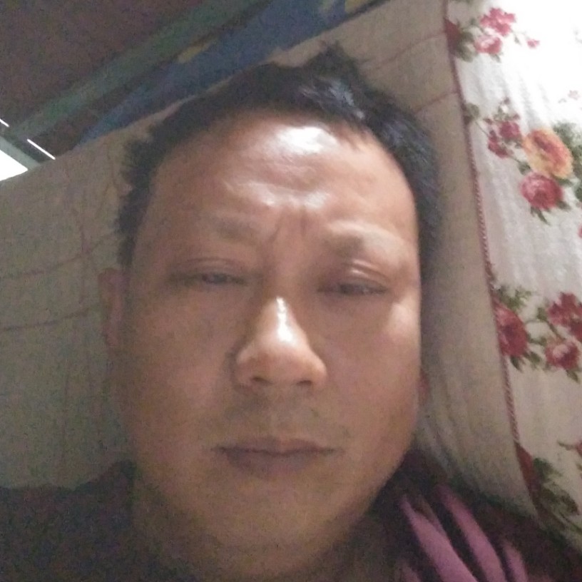 蚂蚁温暖的照片
