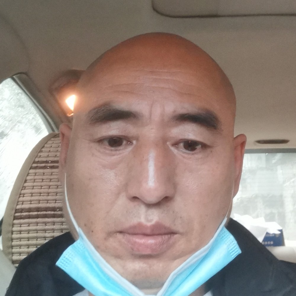 狼一样的性格的照片