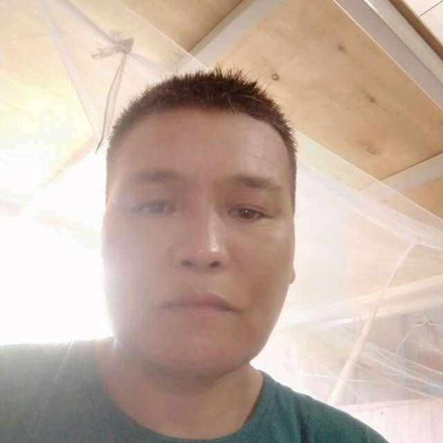 鸵鸟开放的照片