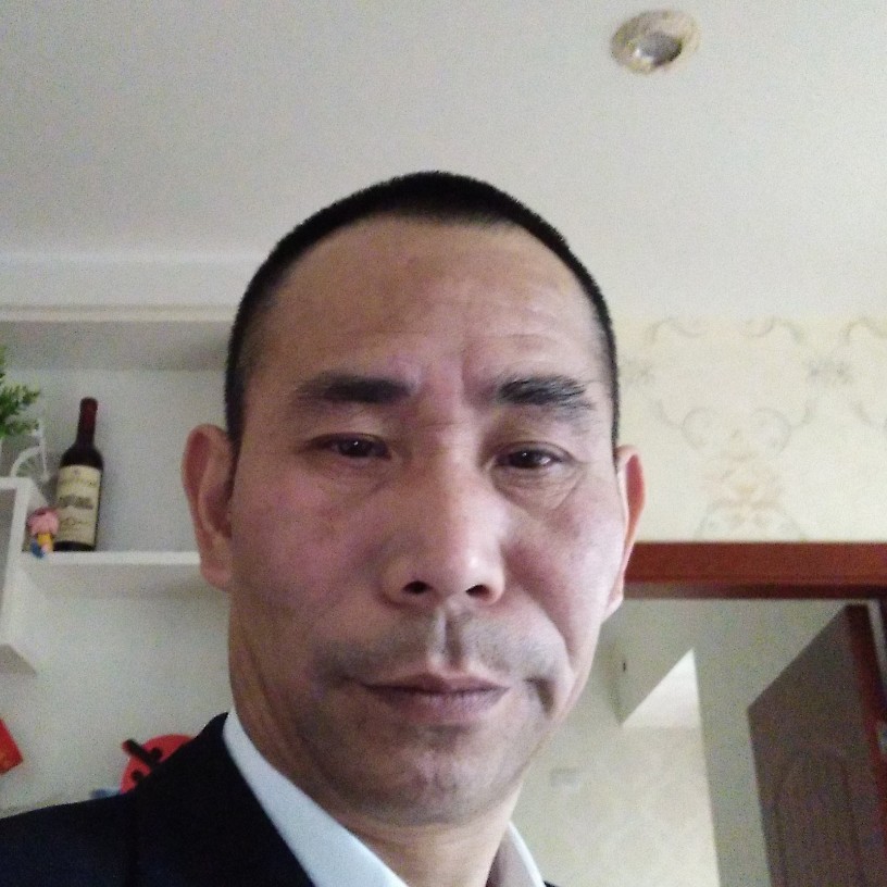 老鼠复杂的照片