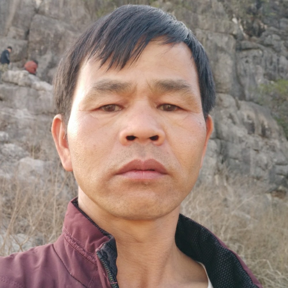 热心停止太阳的照片