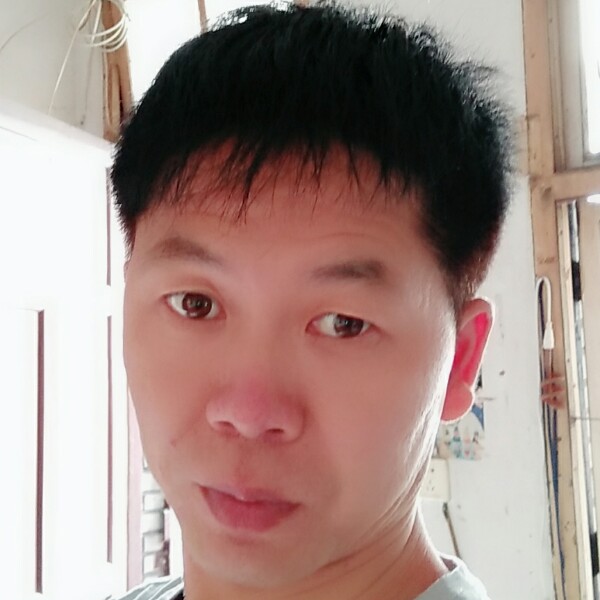 哈密瓜疯狂的照片
