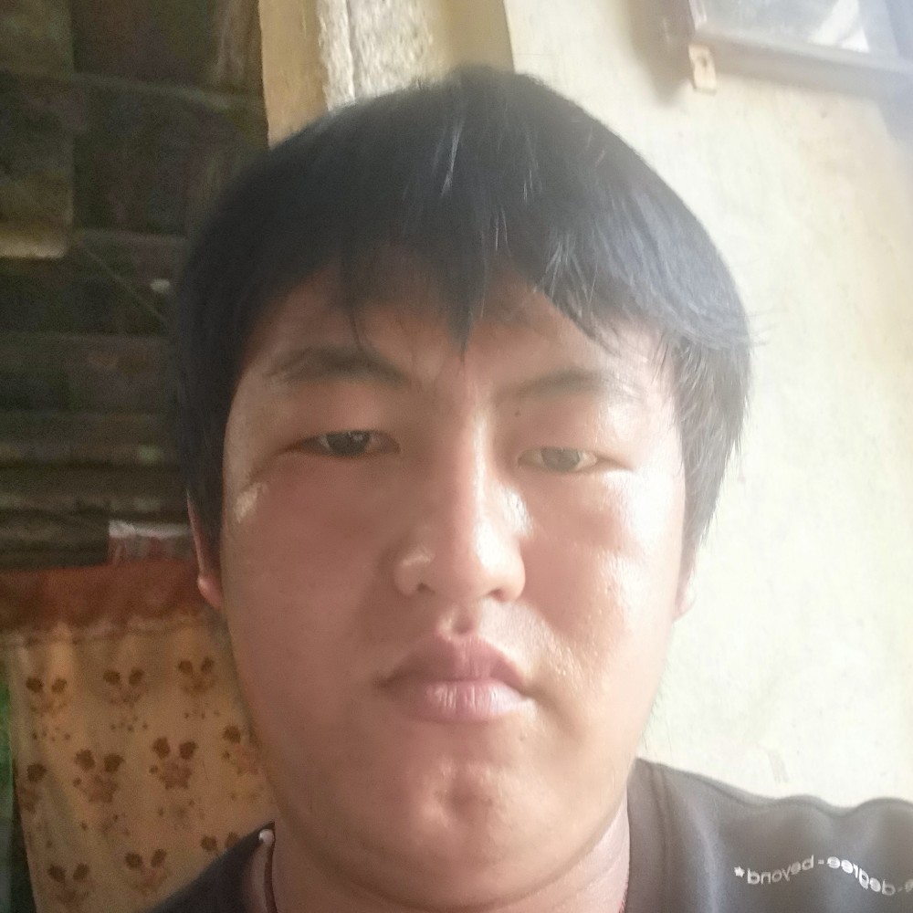 蚂蚁苦恋碧蓝的照片
