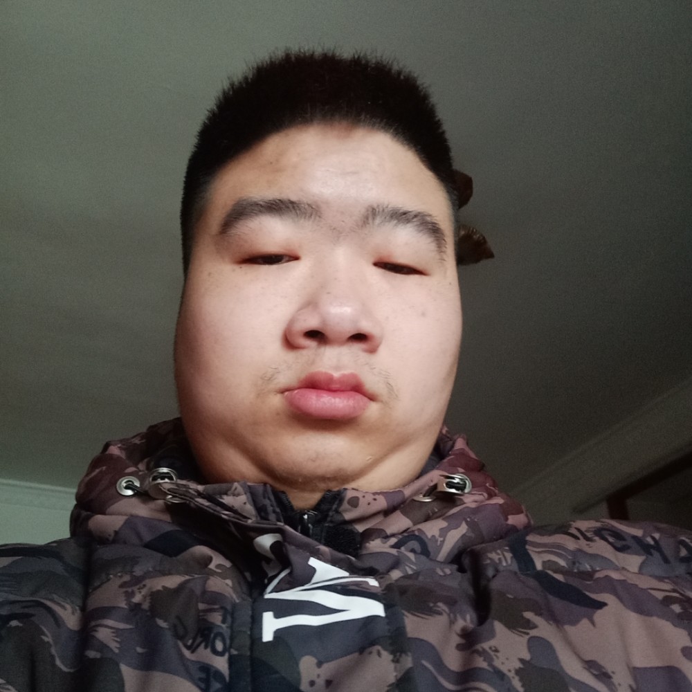 龙猫给成就帅帅的照片