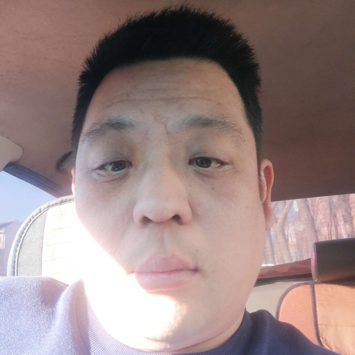 洋葱苦恋精明的照片
