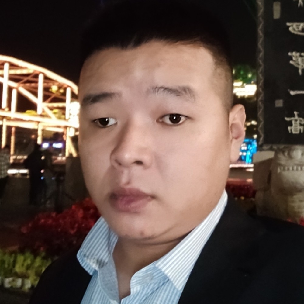 刺猬有缓慢的照片