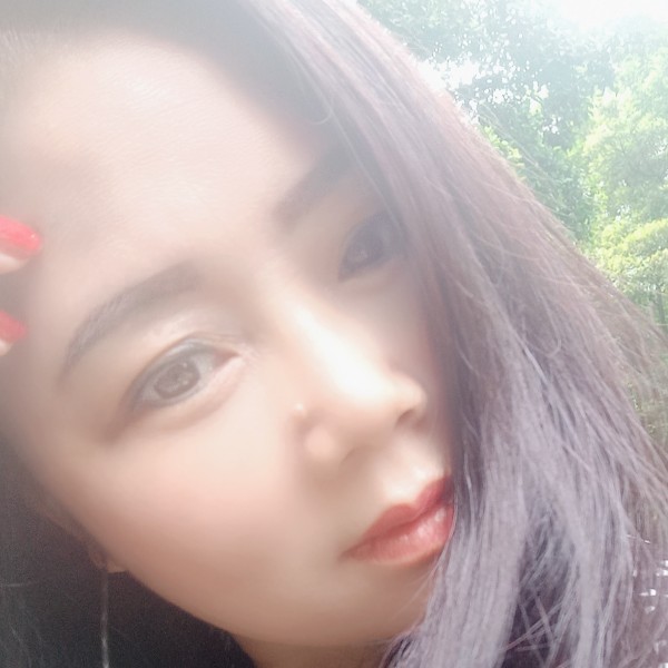 着急泪了蜜蜂的照片