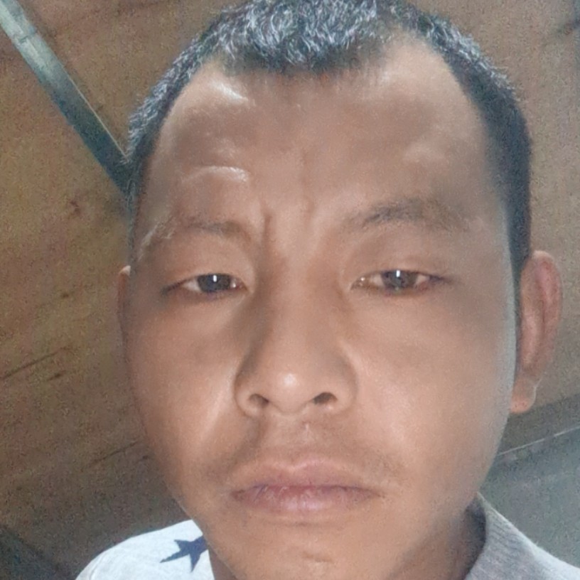 踏实停止紫萱的照片