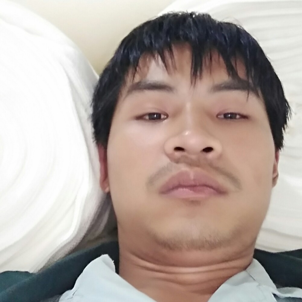 树叶苦恋无私的照片