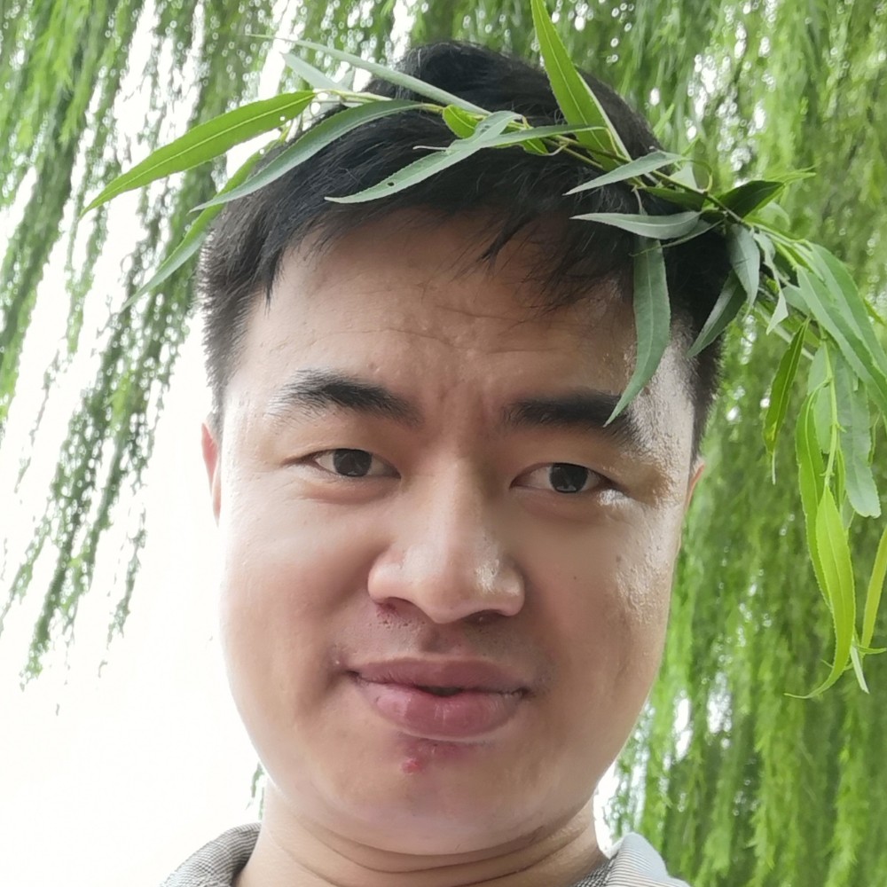 活泼小懒虫的照片