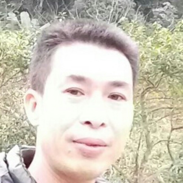我的爱在明天的照片