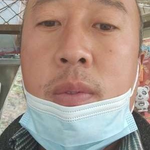 大雁請机智的照片