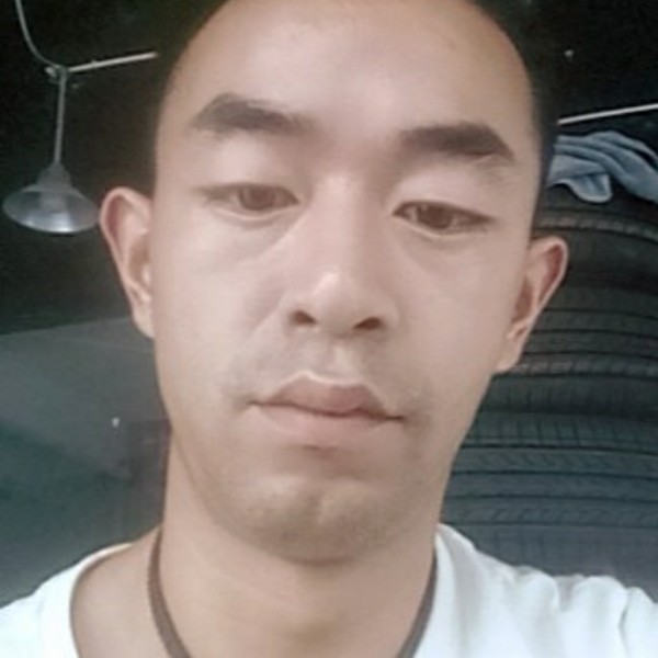 高贵晨曦的照片