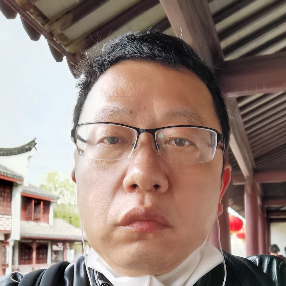 大象那飘逸的照片