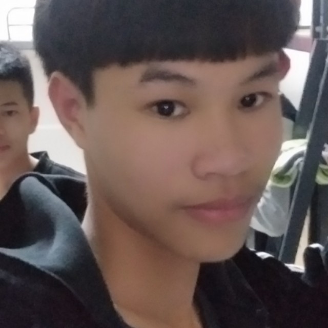 小懒猪诚心的照片