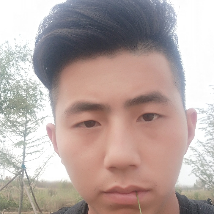 冥王星孤單的照片