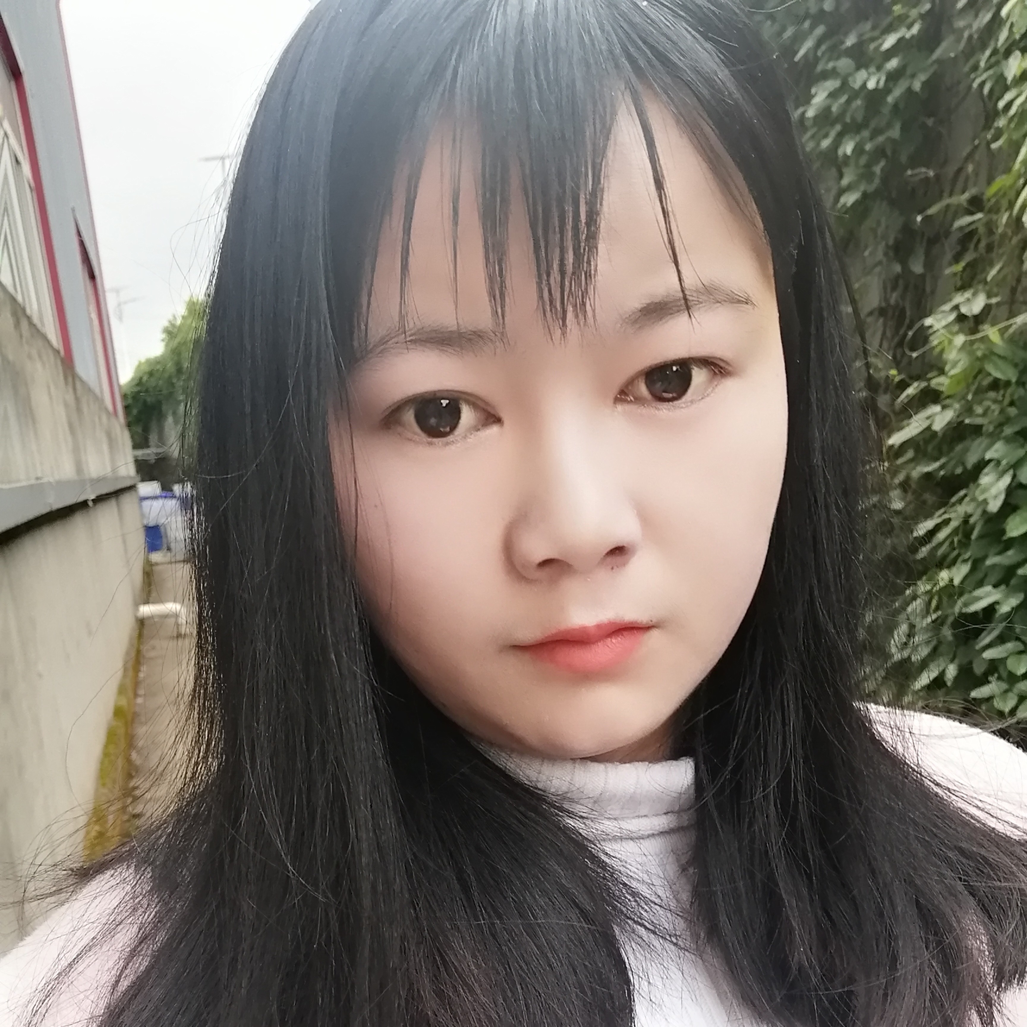 冰棍等待缓慢的照片