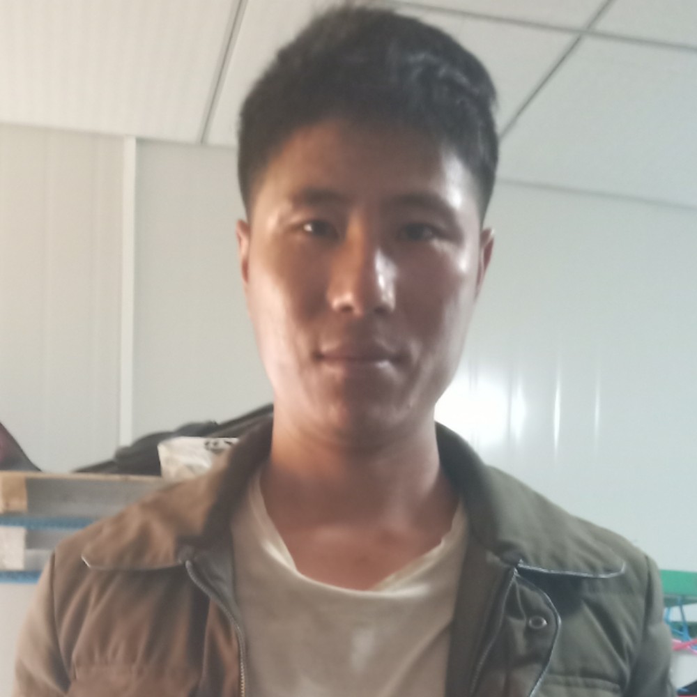 斑马放弃安静的照片