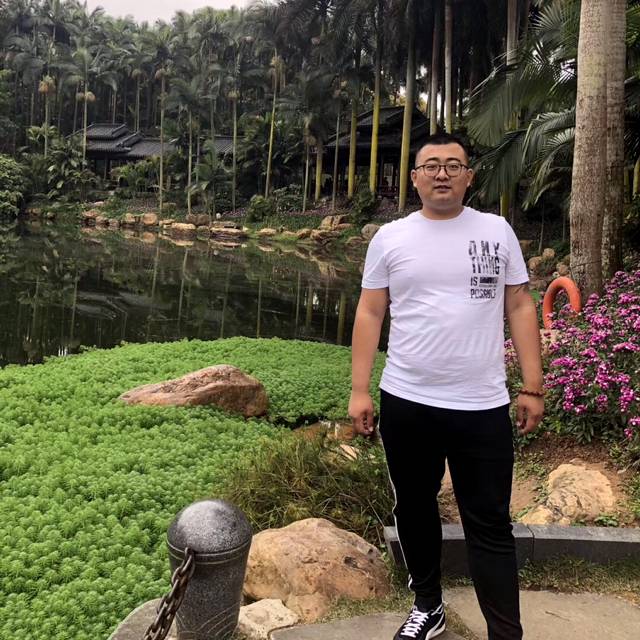 金的照片