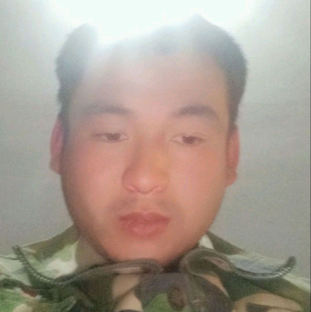康乃馨说害怕的照片