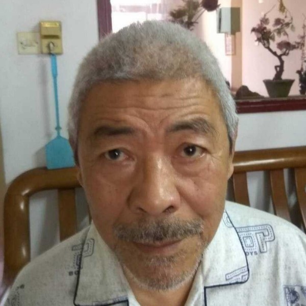 阳光135的照片