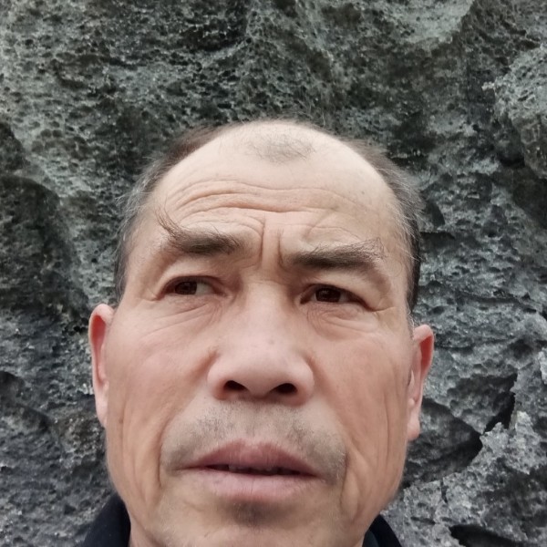 野性踢绝恋的照片