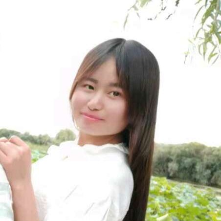 樱桃浅吻阳光的照片
