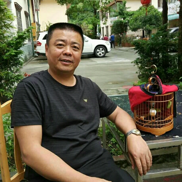 太阳向神勇的照片