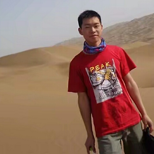 梧桐下的阳光的照片