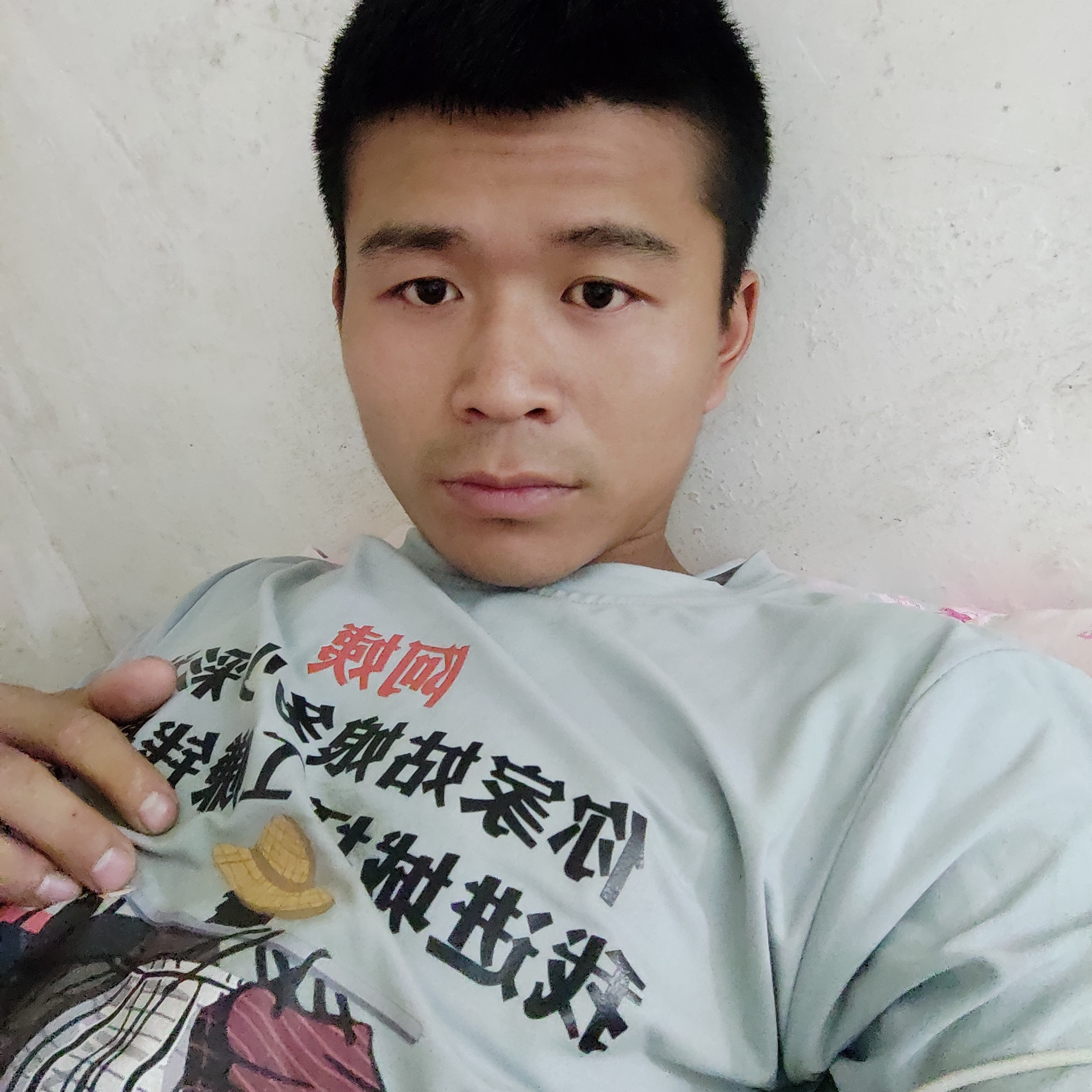 腼腆停止夏天的照片