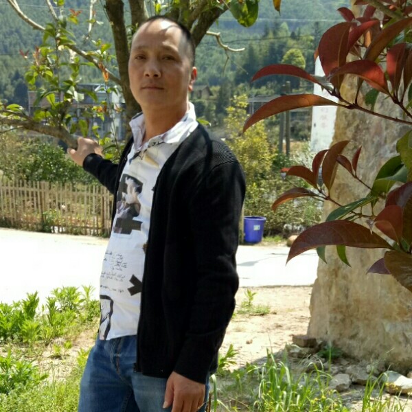 细心小天鹅的照片