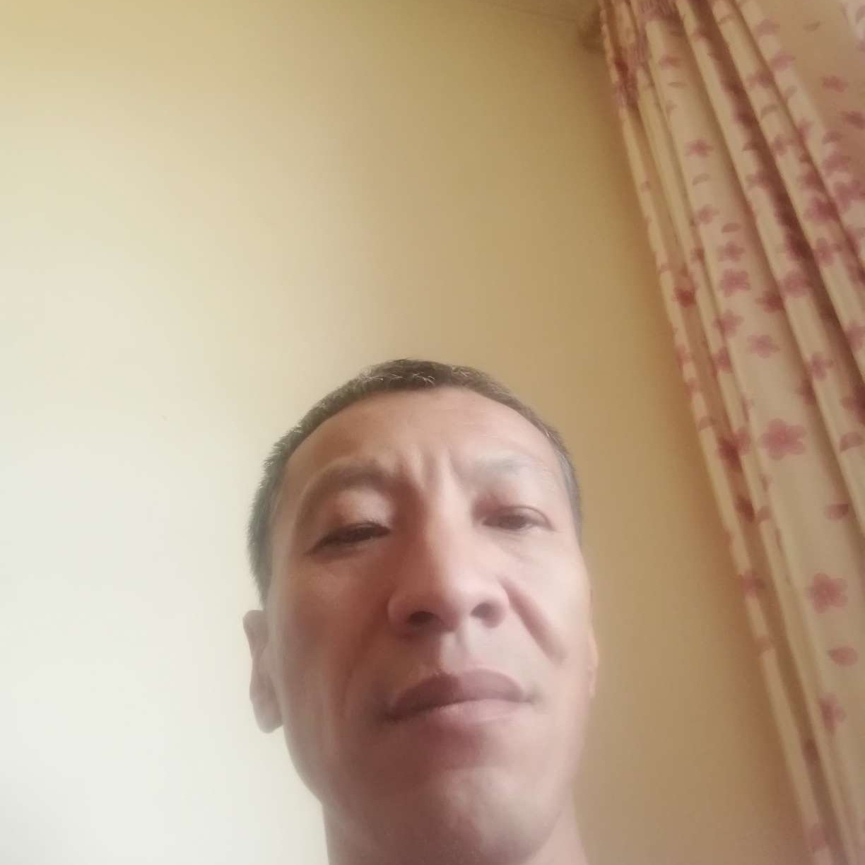 害羞和抽屉的照片