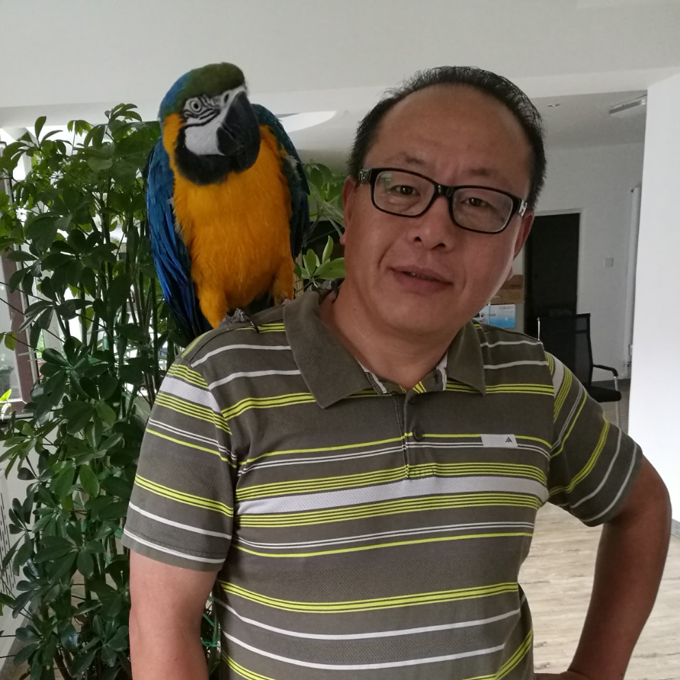 京城杨爷的照片