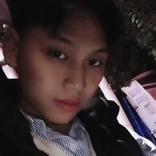 机灵回眸柜子的照片
